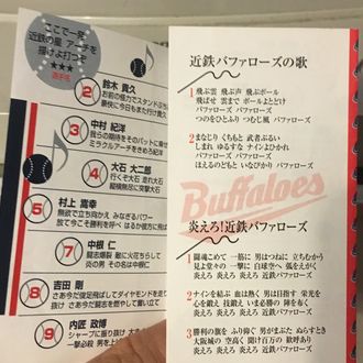 170802_buffaloes_02