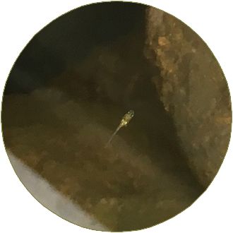 180611_ike_03