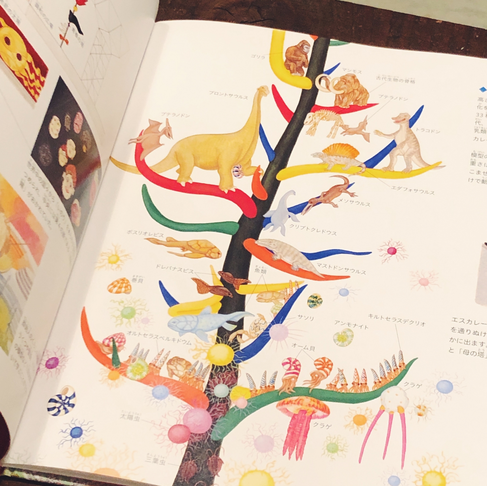 大きな絵本、大阪万博1970 | ガロンのハンドメイドとアトリエの日常