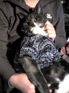 20070422_280090.jpg