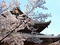 南禅寺法堂
