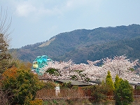 岡崎動物園