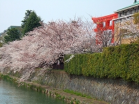 平安神宮鳥居