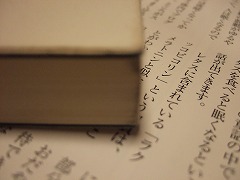 ねつ造成分