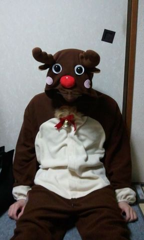 トナカイ...。