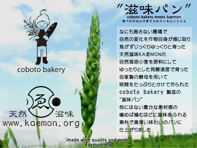 滋味パン