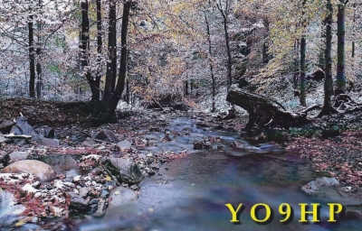 YO