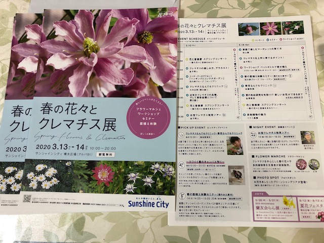 image1.jpeg