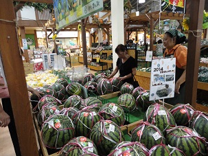 村の駅20.jpg