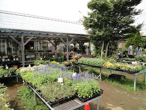 村の駅26.jpg