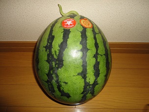 スイカ1.jpg