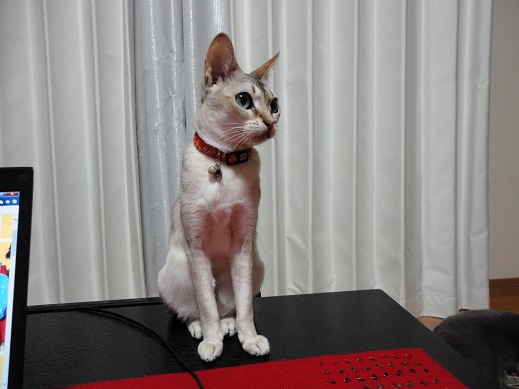 20150710-6.jpg