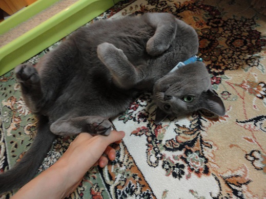 20150710-7.jpg