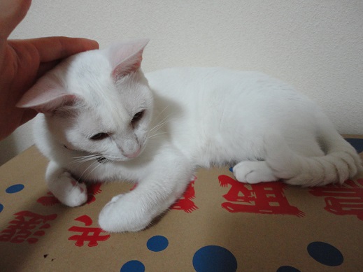 20150710-8.jpg