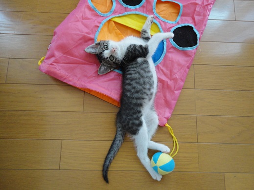 20150711-1.jpg