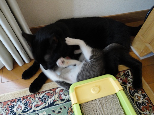 20150711-2.jpg