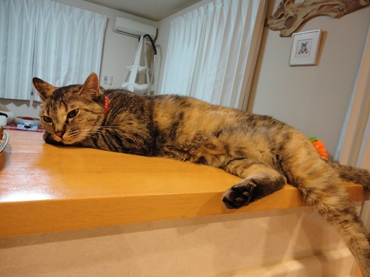 20150711-3.jpg