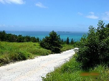 yama