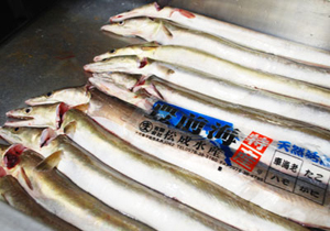 201008hamo1