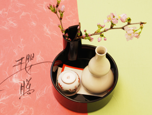 230221sakura3