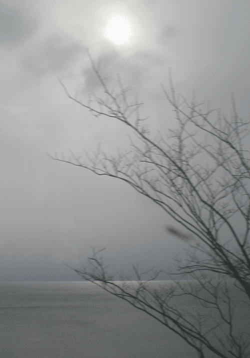 虎杖浜の陽光