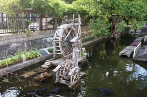 蓮沼川
