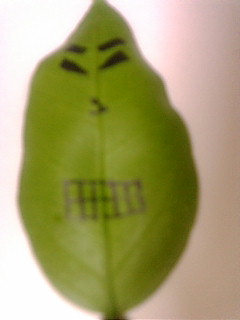 20101203003536.jpg