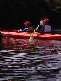 F1000489.jpg
