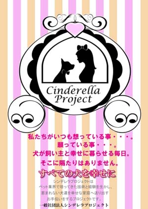 シンデレラプロジェクト