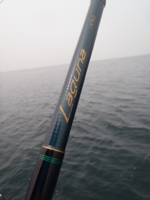 テンリュウ Laguna LN762L レイク トローリングロッド 7'6\" テンリュウ(TENRYU) ラグナ LN762L (レイクトローリング