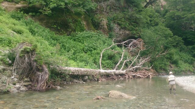 山ヒルの待つ川へ Jpg