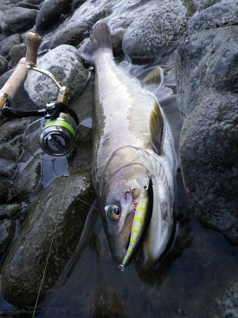 Rayz RZ75ML Variable-Shooter(改筆) | TENRYU|天龍 釣具事業 Rayz RZ75ML Variable-Shooter(改筆) | TENRYU|天龍 釣具事業