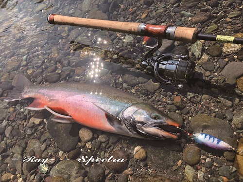 Rayz Spectra RZS77MMH (Mikija) | TENRYU|天龍 釣具事業 Rayz Spectra RZS77MMH (Mikija) | TENRYU|天龍 釣具事業