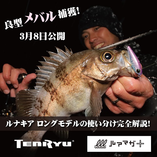 天龍 (テンリュウ) テンカラ 風来坊 TF39 / テンカラ竿 / tenryu 天龍 (テンリュウ) テンカラ 風来坊 TF39 / テンカラ竿 / tenryu