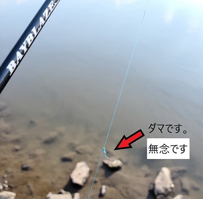 TENRYU|天龍 釣具事業 スタッフブログ TENRYU|天龍 釣具事業 スタッフブログ
