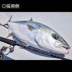 TENRYU|天龍 釣具事業 スタッフブログ TENRYU|天龍 釣具事業 スタッフブログ