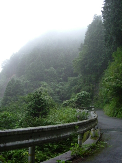 やや雨足が強くなる