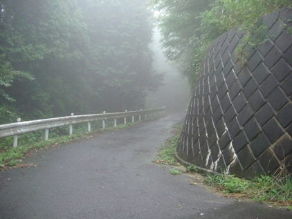 入山峠からのすぐの下り