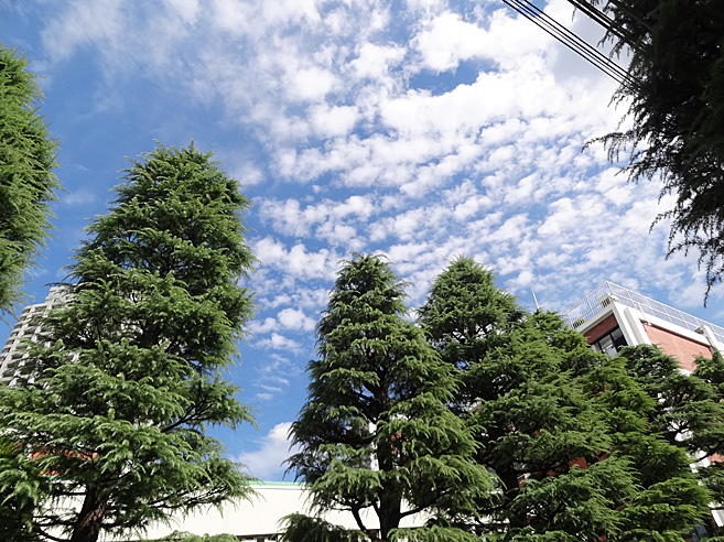空