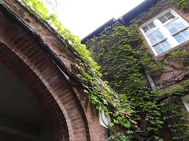 立教大学