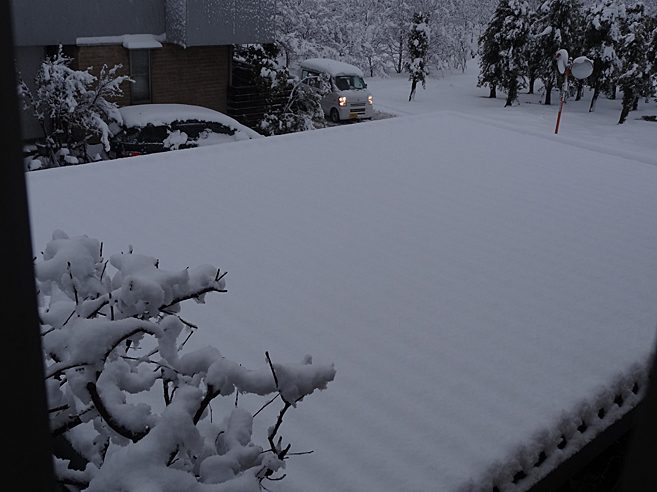 雪