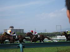 競馬3