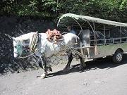 馬車