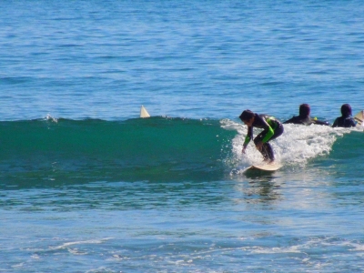 DSCN1236.JPG
