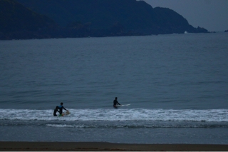 ブログ｜サウスショア