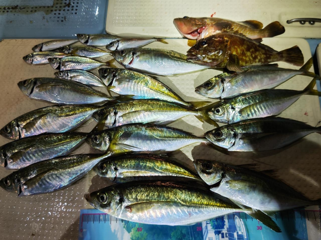 お知らせ｜海猫丸