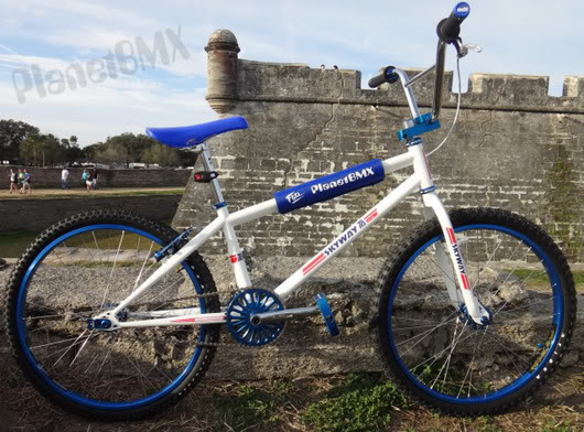 skyway 24 bmx