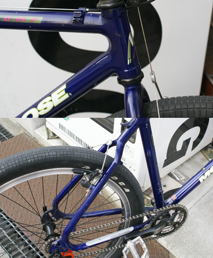 mongoose iboc