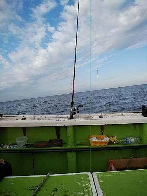 IMG_20191104_075718.jpg