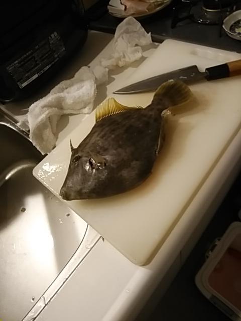 IMG_20191211_180908.jpg